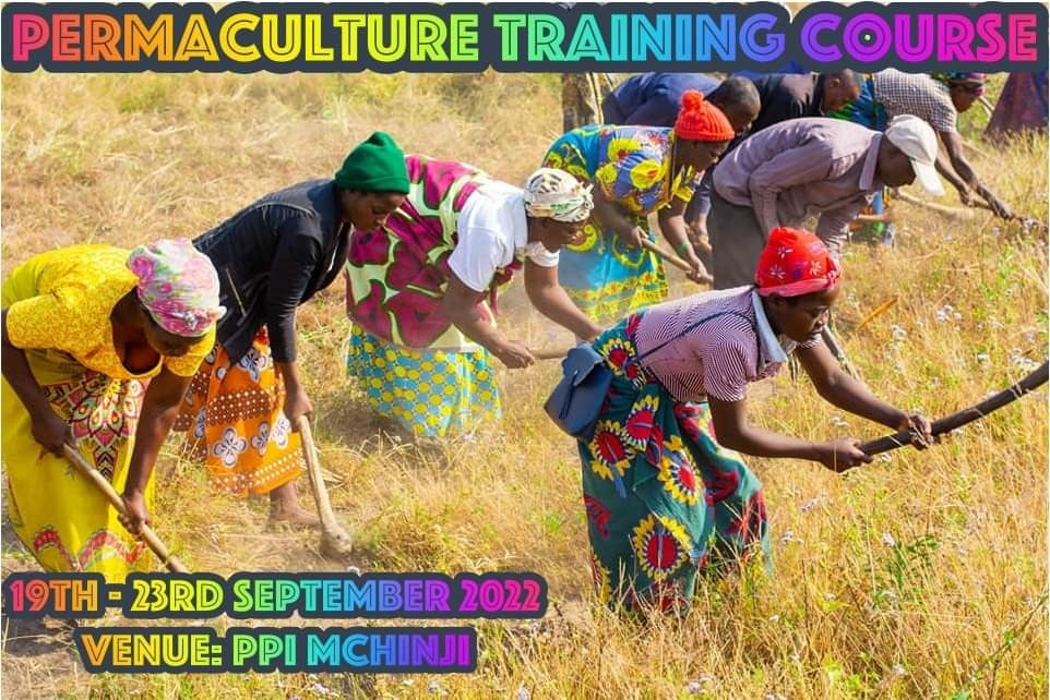 Permaculture Training Course Agroforestry Regeneration Communities